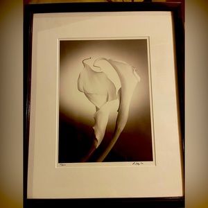 Black & White Calla Lily Print Matted & Framed